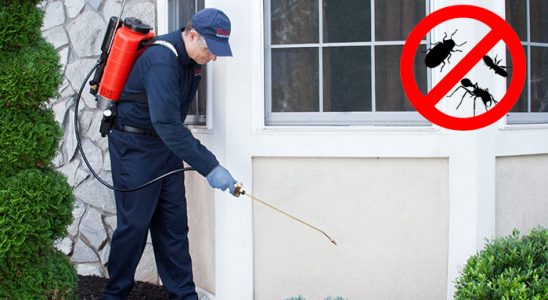 Beşiri Kene İlaçlama böcek ilaçlama ve haşere kontrolü — ilaclama-tr.com
